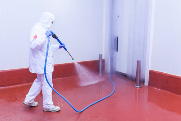 Best Winterizing Services  in Clute, TX