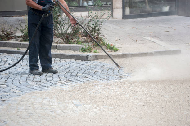 Best Driveway Pressure Washing  in Clute, TX